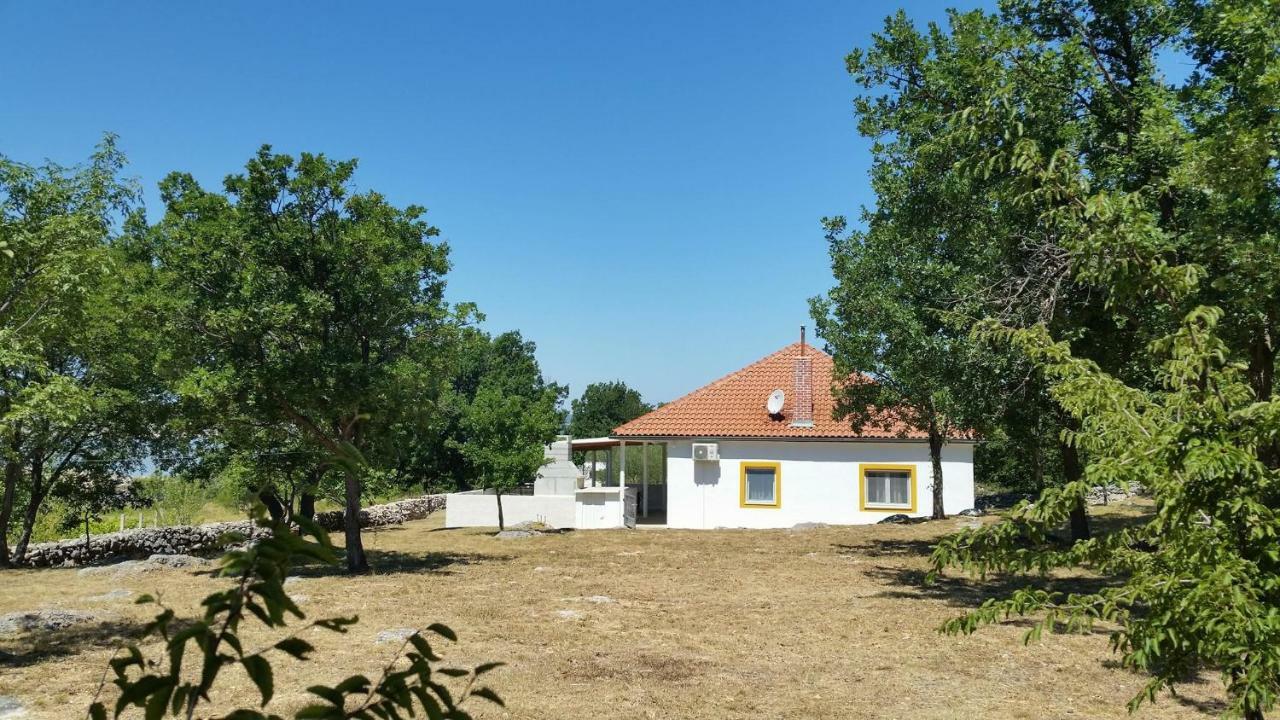 Holiday House Tunjarice 奥布罗瓦茨 外观 照片